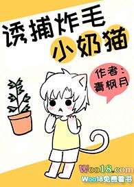 诱捕炸毛小奶猫